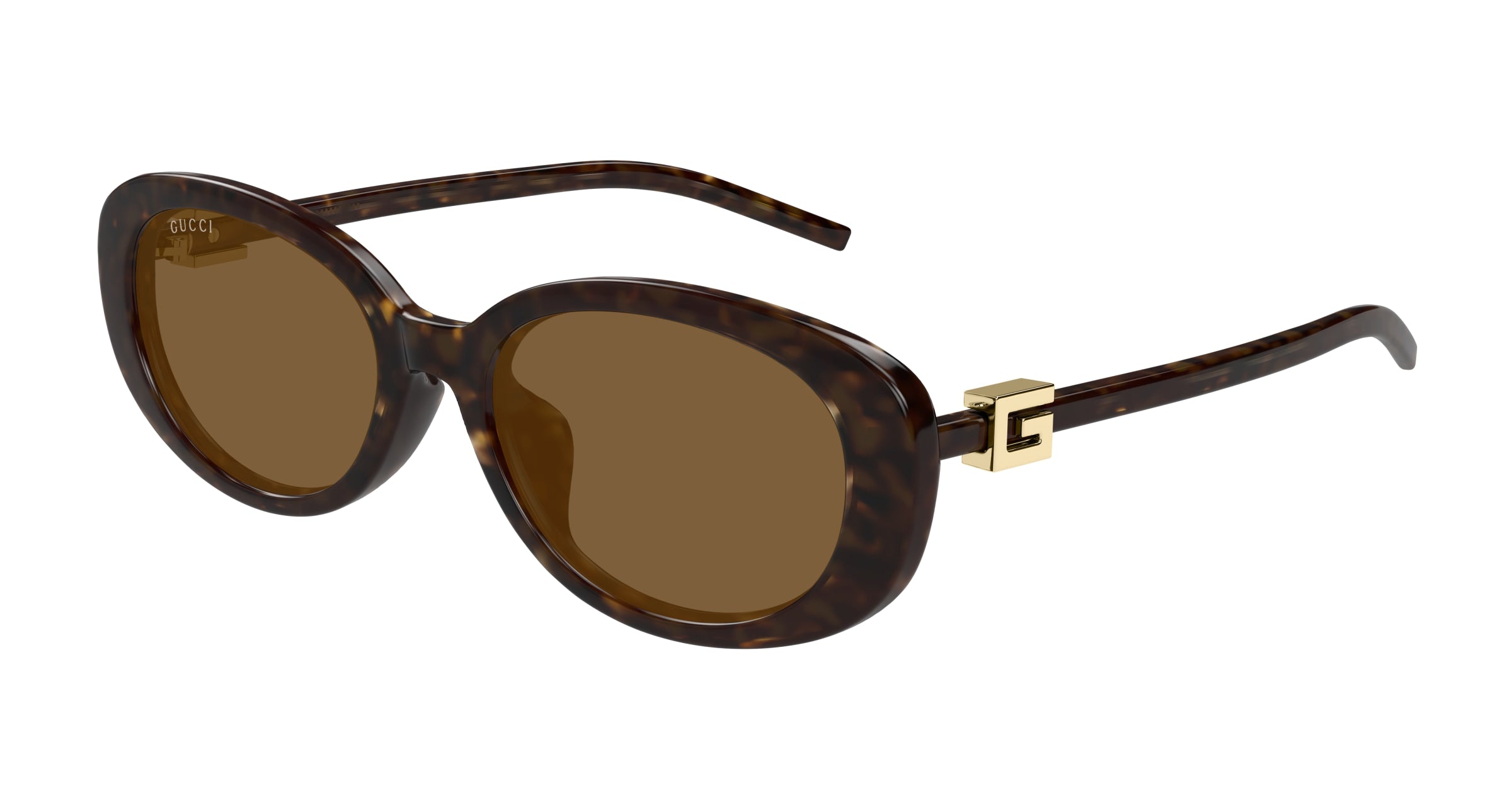Gucci Donna Gucci GG1684SA 004 Occhiali da sole Iniettato Havana Marrone Rotonda Gucci Donna Gucci GG1684SA 004 Occhiali da sole Iniettato Havana Marrone Rotonda