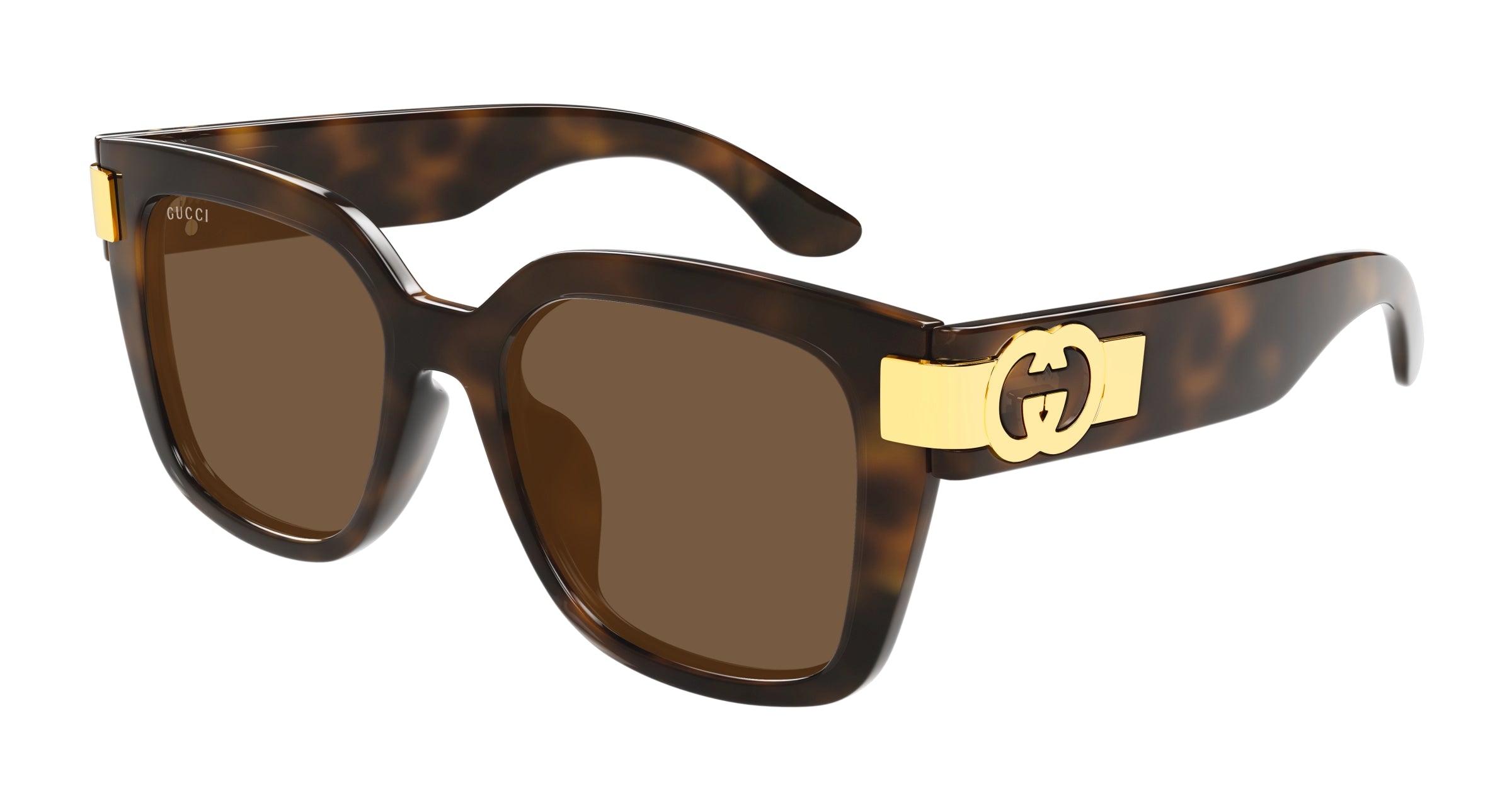 Gucci Donna Gucci GG1690SK 002 Occhiali da sole Iniettato Havana Marrone Squadrata Gucci Donna Gucci GG1690SK 002 Occhiali da sole Iniettato Havana Marrone Squadrata