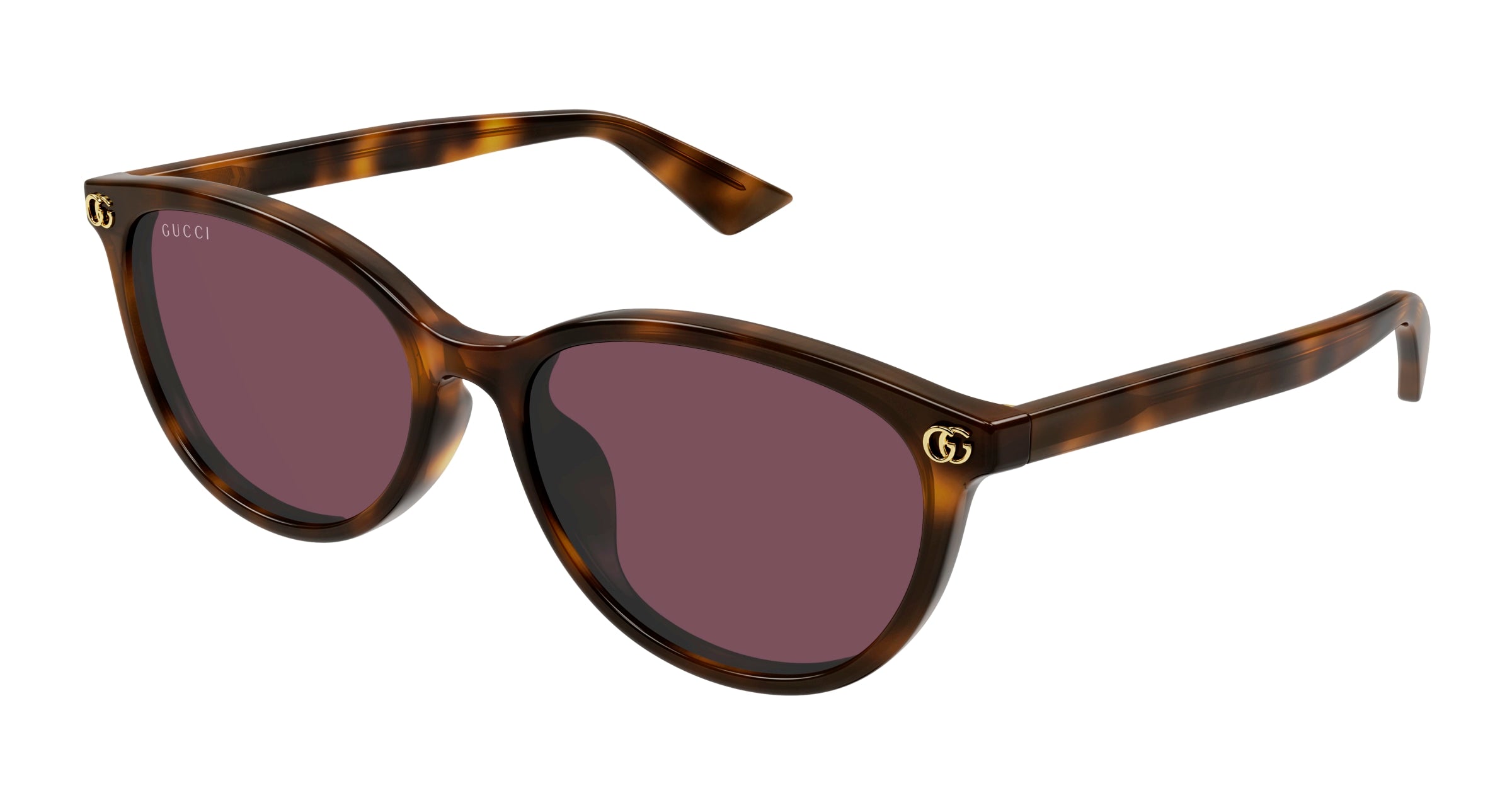 Gucci Donna Gucci GG1818SK 002 Occhiali da sole Acetato Havana Viola Rotonda Gucci Donna Gucci GG1818SK 002 Occhiali da sole Acetato Havana Viola Rotonda