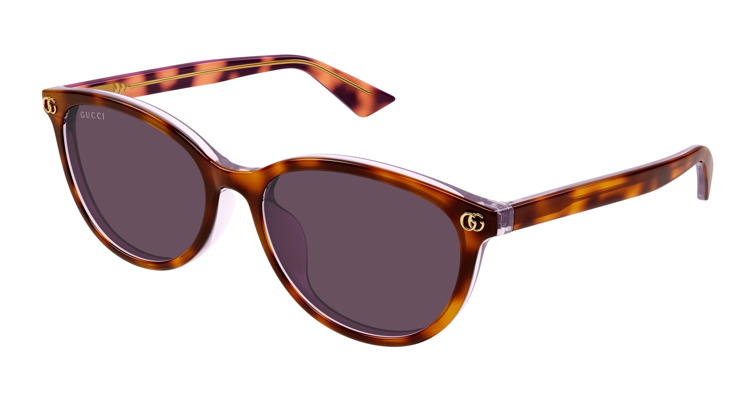 Gucci Donna Gucci GG1818SK 004 Occhiali da sole Acetato Havana Viola Rotonda Gucci Donna Gucci GG1818SK 004 Occhiali da sole Acetato Havana Viola Rotonda