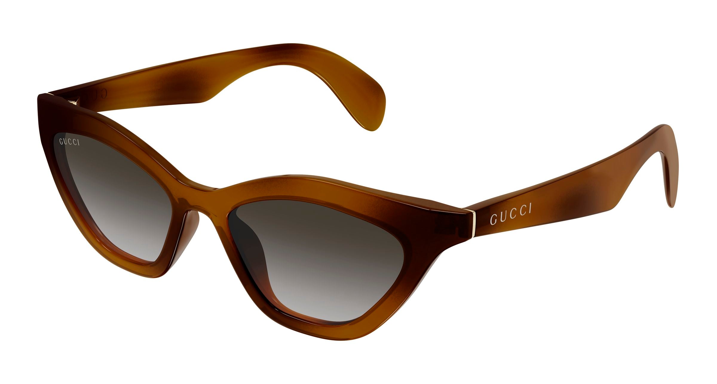 Gucci Donna Gucci GG1931S 003 Occhiali da sole Iniettato Havana Grigio Cat Eye Gucci Donna Gucci GG1931S 003 Occhiali da sole Iniettato Havana Grigio Cat Eye