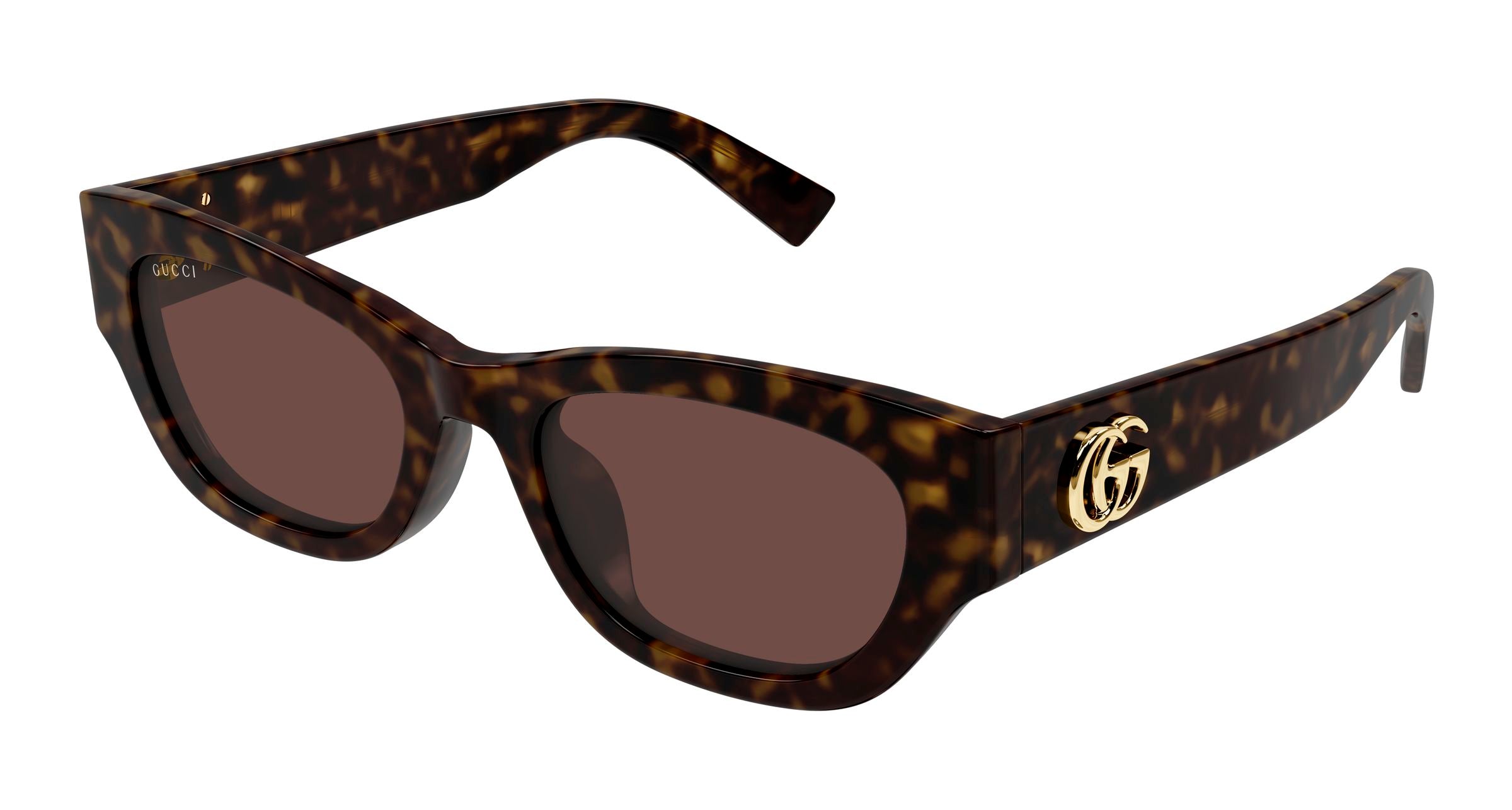 Gucci Donna Gucci GG1954SA 002 Occhiali da sole Acetato Havana Marrone Cat Eye