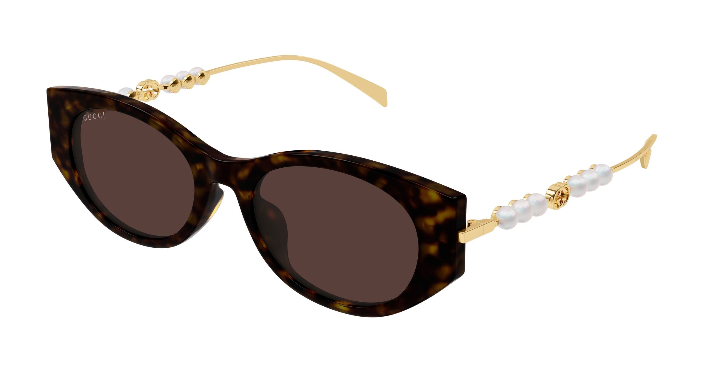 Gucci Donna Gucci GG1970SA 003 Occhiali da sole Acetato Havana Marrone Cat Eye Gucci Donna Gucci GG1970SA 003 Occhiali da sole Acetato Havana Marrone Cat Eye