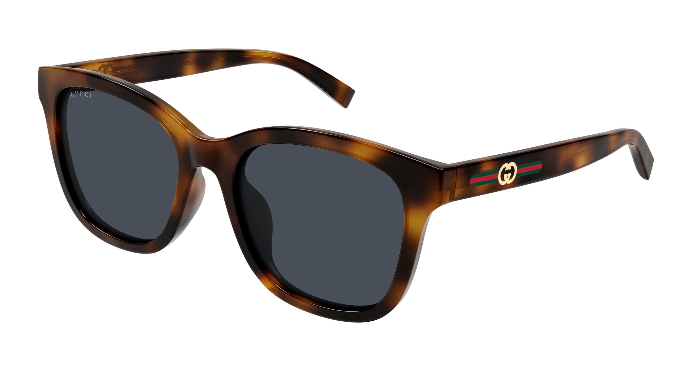 Gucci Donna Gucci GG1984SK 002 Occhiali da sole Iniettato Havana Blu Rotonda Gucci Donna Gucci GG1984SK 002 Occhiali da sole Iniettato Havana Blu Rotonda