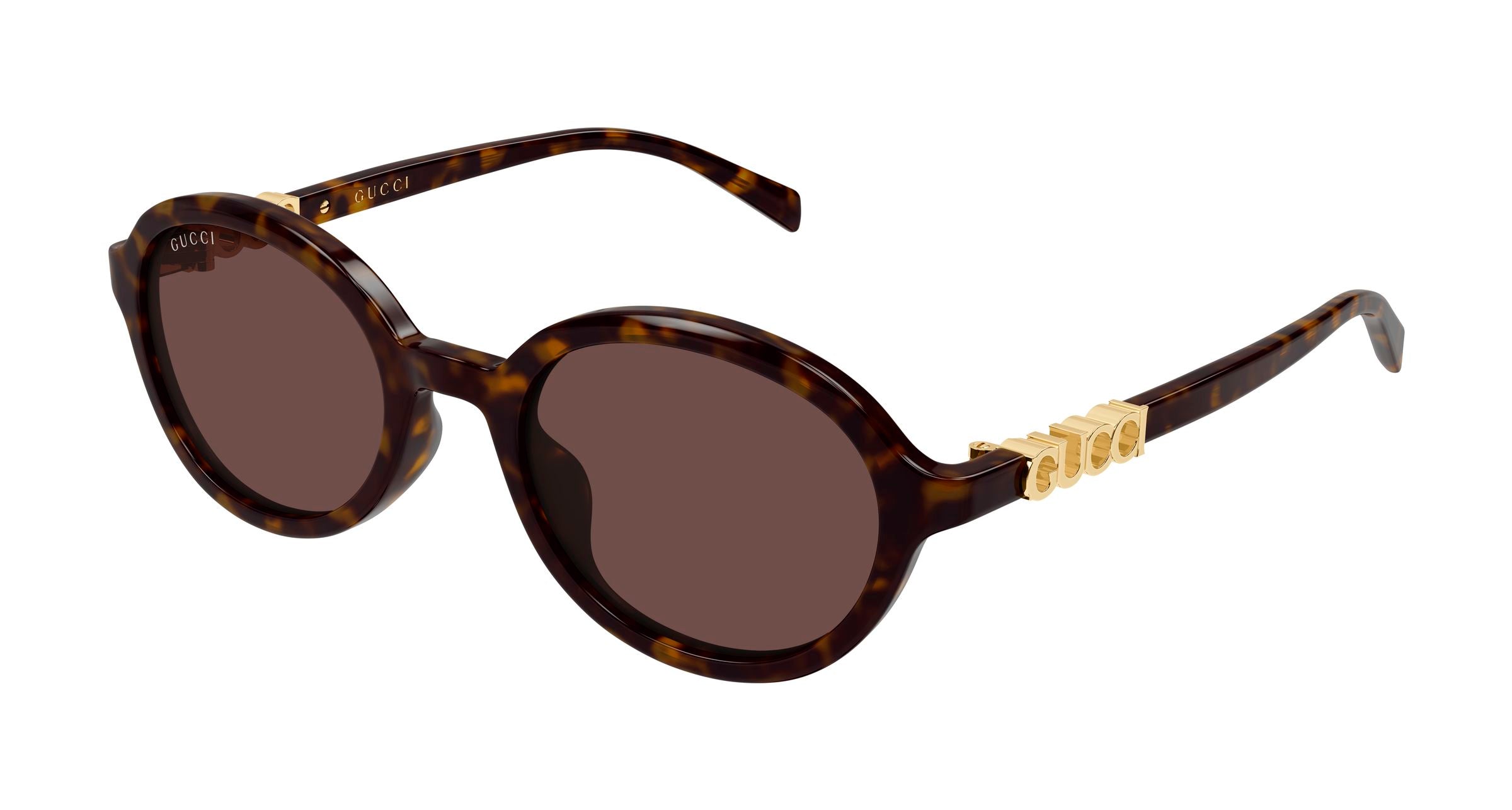 Gucci Donna Gucci GG2033SA 002 Occhiali da sole Acetato Havana Marrone Rotonda