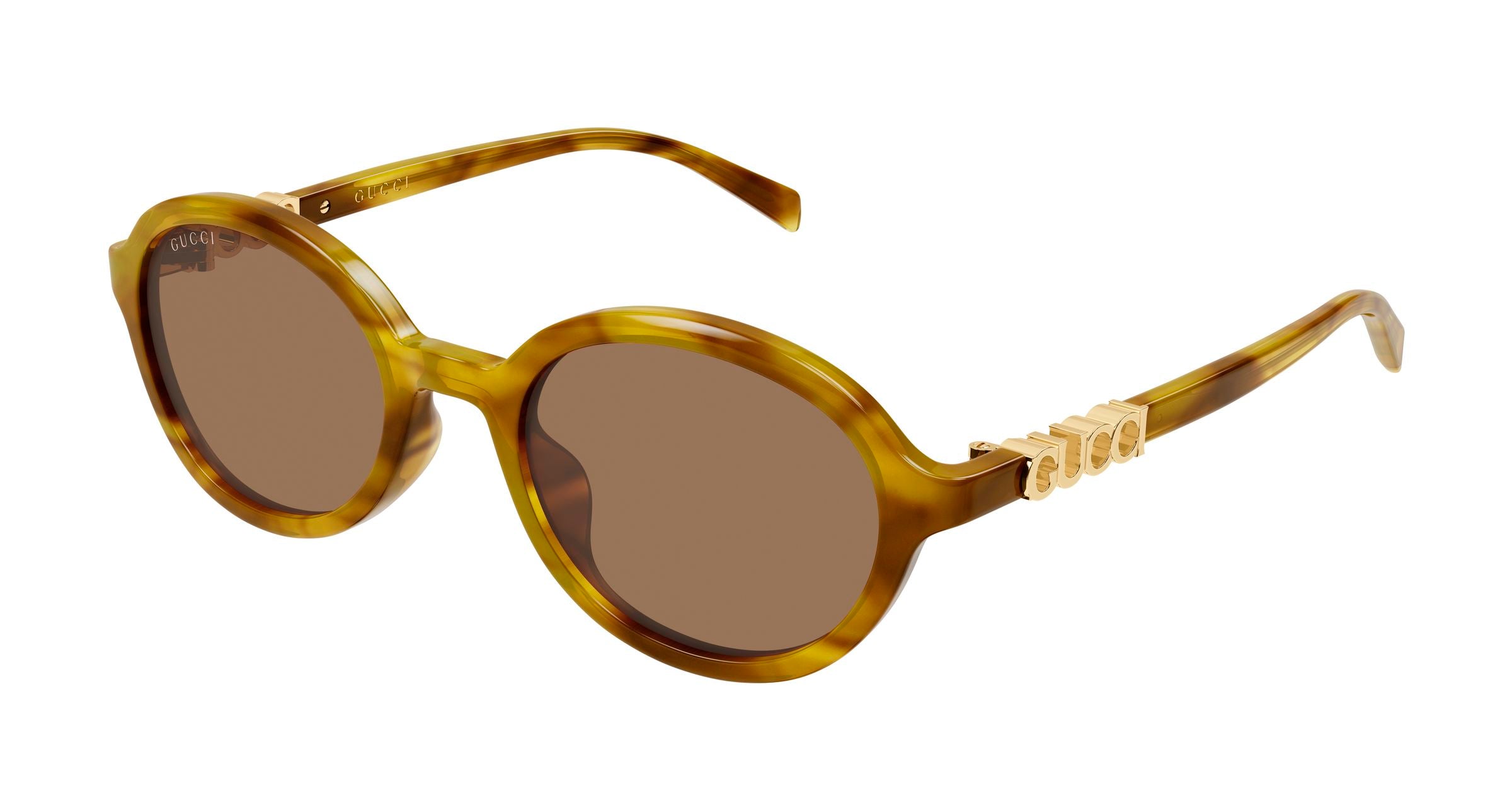 Gucci Donna Gucci GG2033SA 003 Occhiali da sole Acetato Havana Marrone Rotonda Gucci Donna Gucci GG2033SA 003 Occhiali da sole Acetato Havana Marrone Rotonda