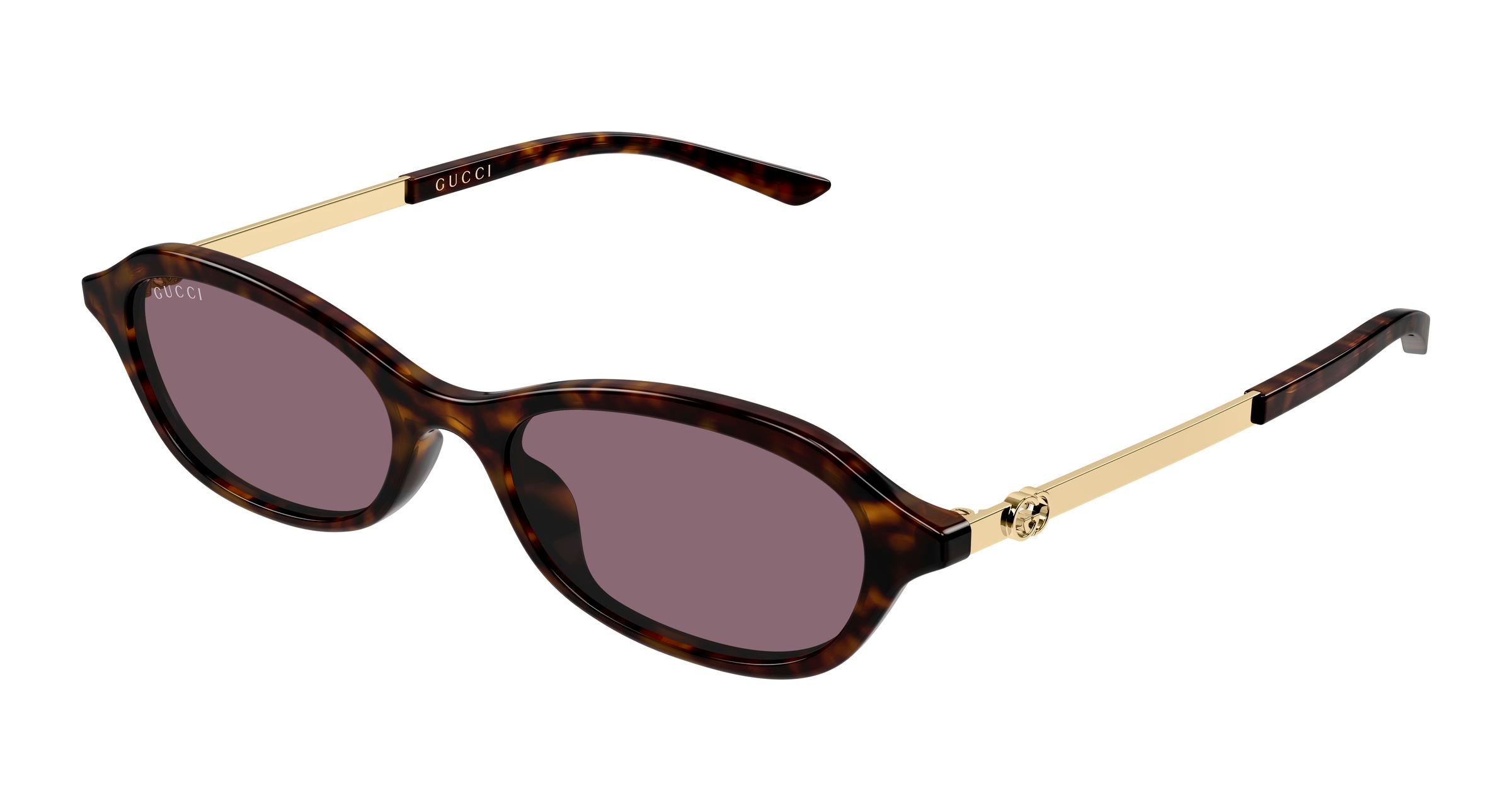 Gucci Donna Gucci GG2212S 003 Occhiali da sole Acetato Havana Viola Rotonda Gucci Donna Gucci GG2212S 003 Occhiali da sole Acetato Havana Viola Rotonda