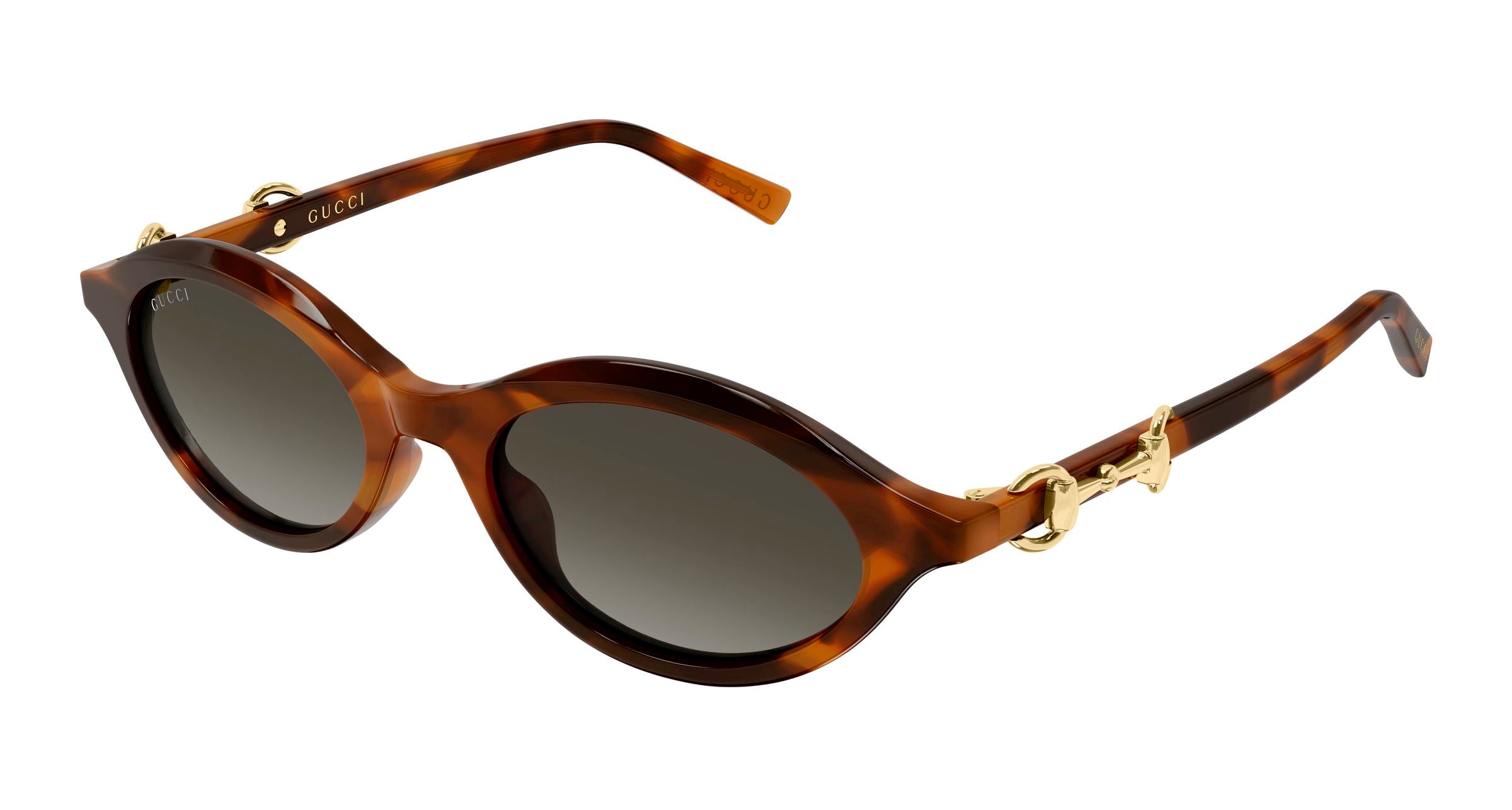 Gucci Donna Gucci GG2215S 002 Occhiali da sole Acetato Havana Marrone Rotonda Sfumato Gucci Donna Gucci GG2215S 002 Occhiali da sole Acetato Havana Marrone Rotonda Sfumato