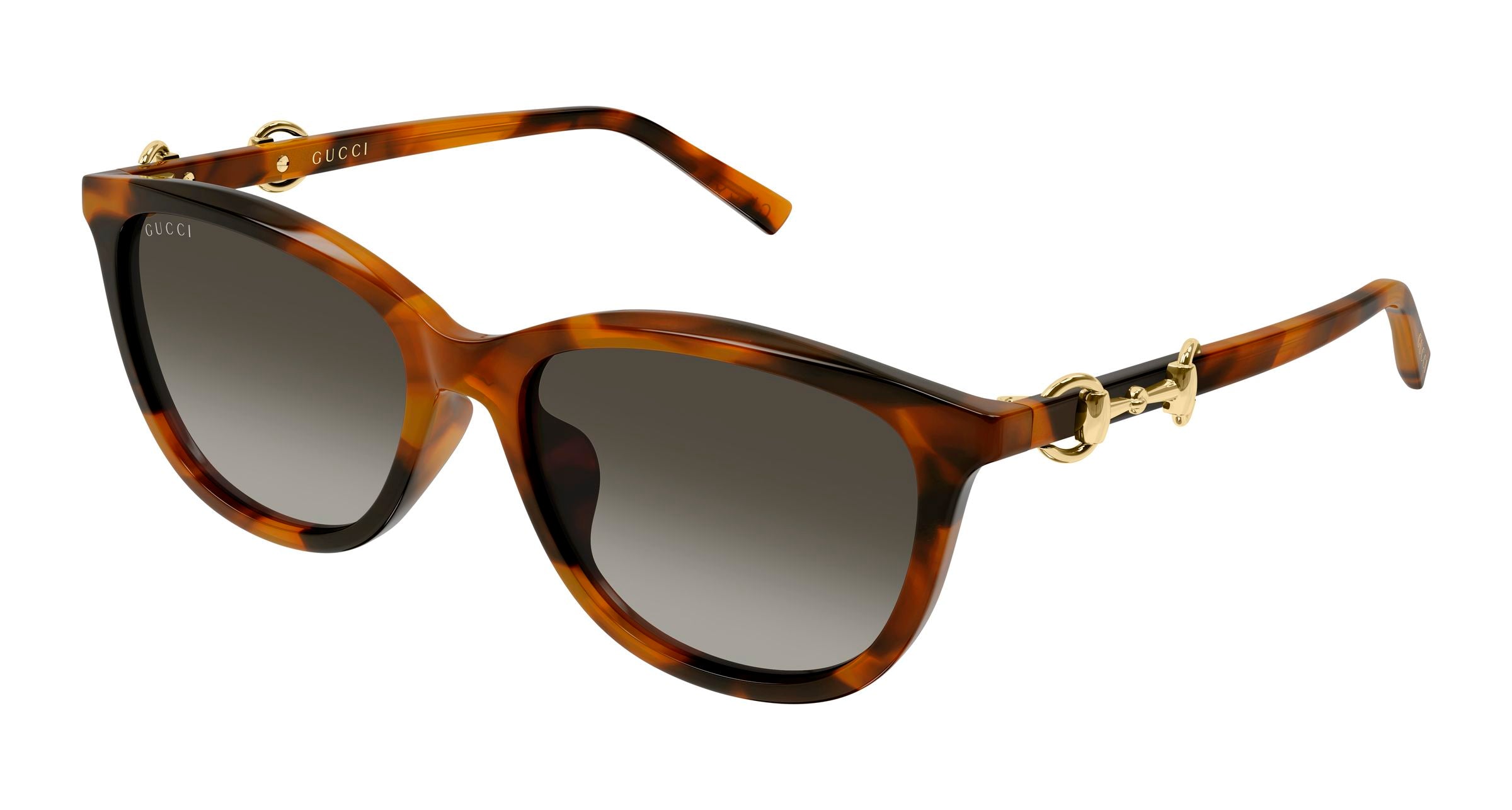 Gucci Donna Gucci GG2220SK 002 Occhiali da sole Acetato Havana Marrone Rotonda Sfumato Gucci Donna Gucci GG2220SK 002 Occhiali da sole Acetato Havana Marrone Rotonda Sfumato