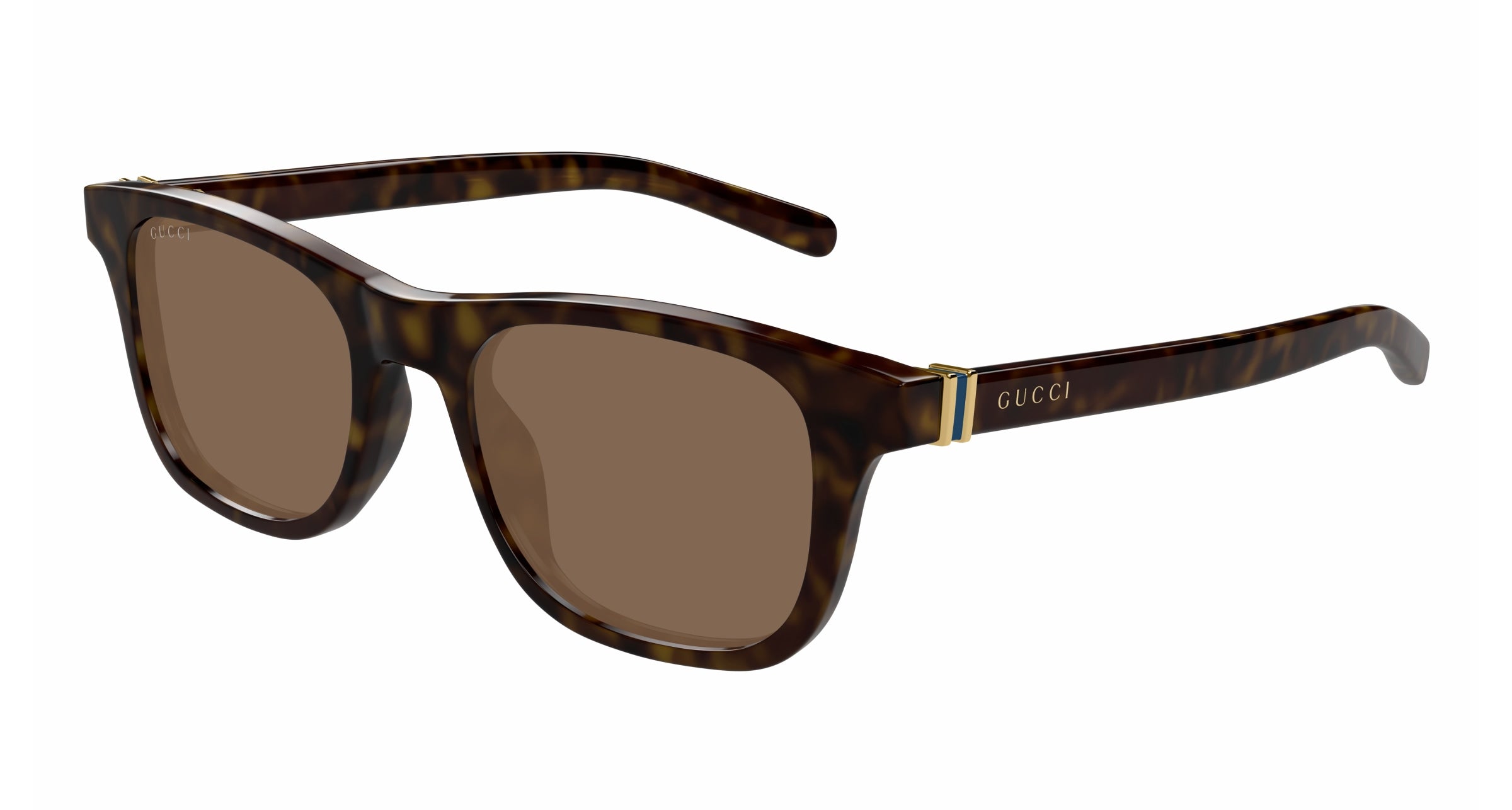 Gucci Uomo GG1671S 006 Occhiali da sole Acetato Havana Marrone Rotonda