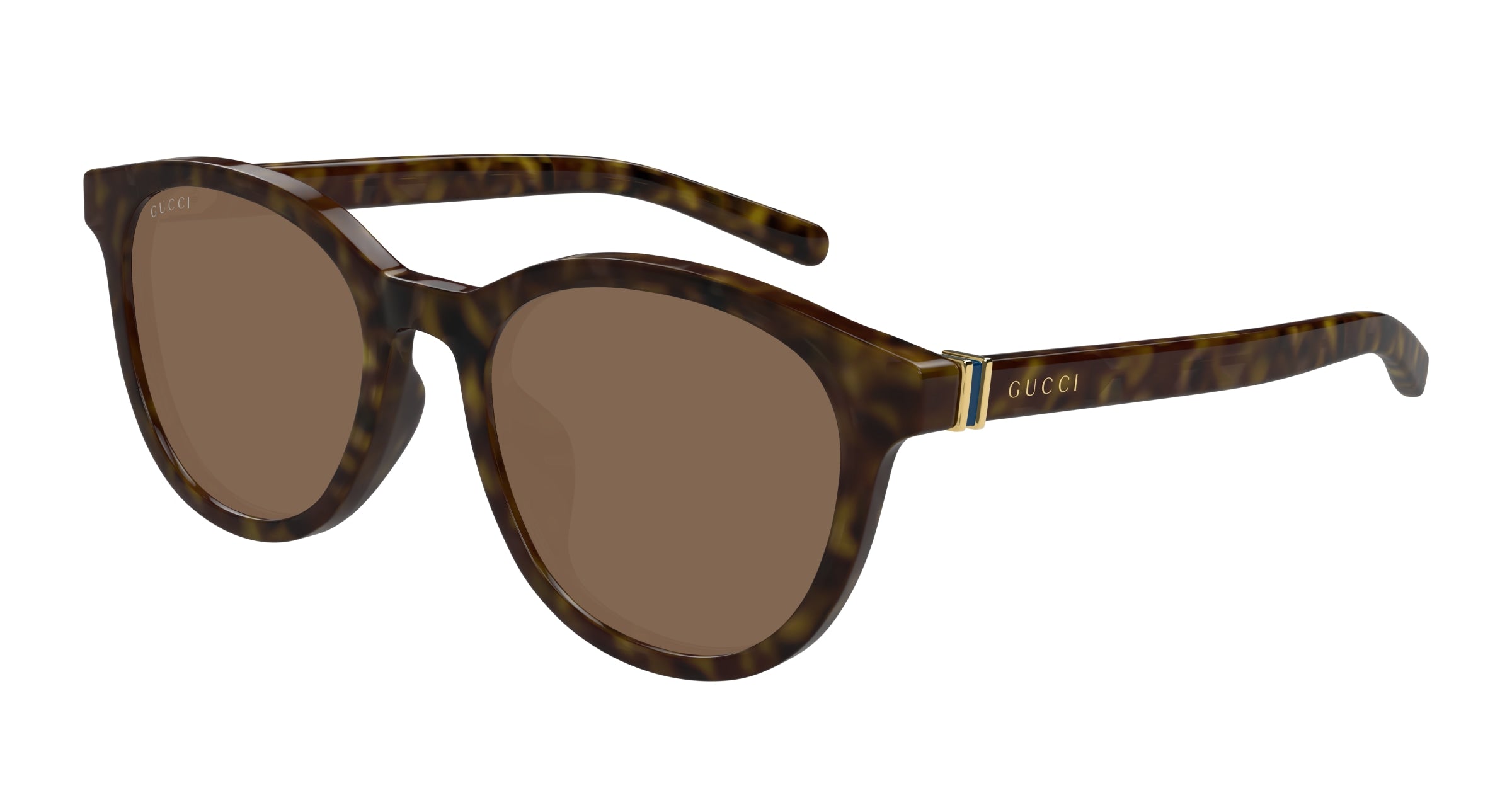 Gucci Uomo Gucci GG1674SK 002 Occhiali da sole Acetato Havana Marrone Rotonda