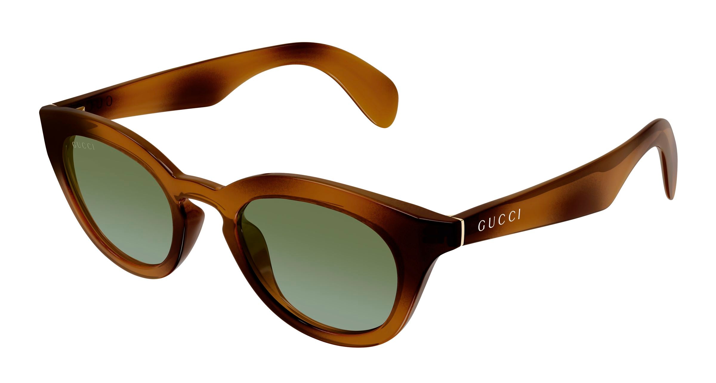 Gucci Uomo Gucci GG1934S 002 Occhiali da sole Iniettato Havana Verde Squadrata