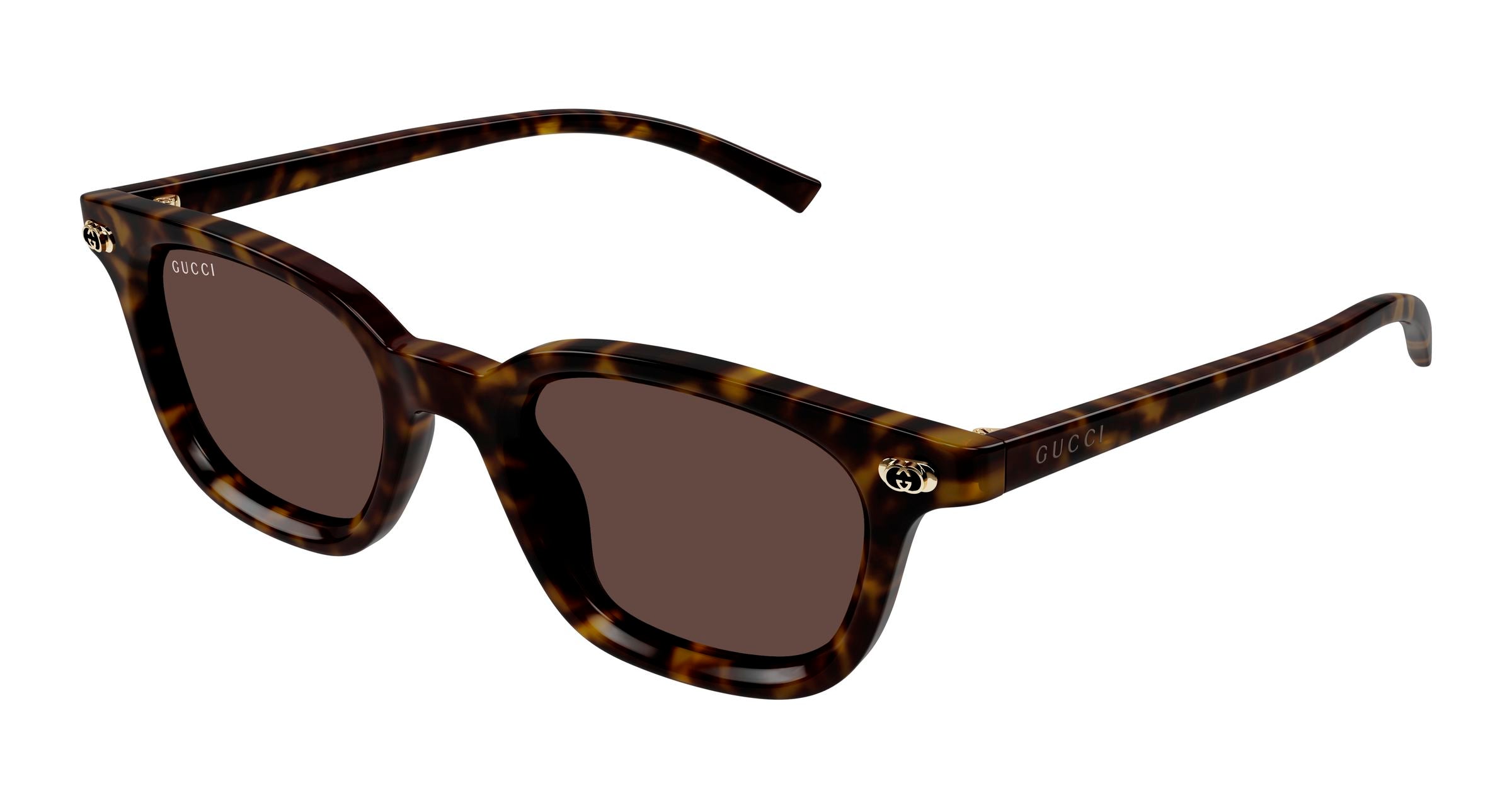 Gucci Uomo Gucci GG1946S 002 Occhiali da sole Acetato Havana Marrone Rotonda
