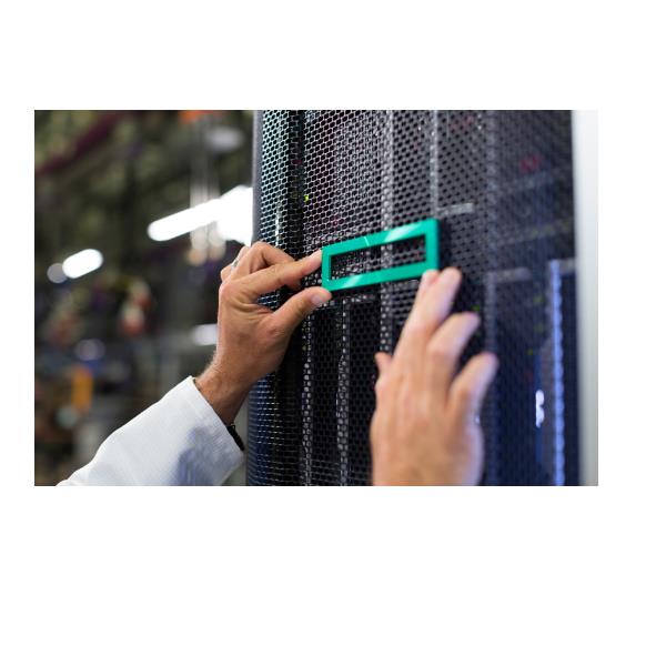 Hp Hpe ML110 GEN11 NS204I-U Enable Kit P61742-B21