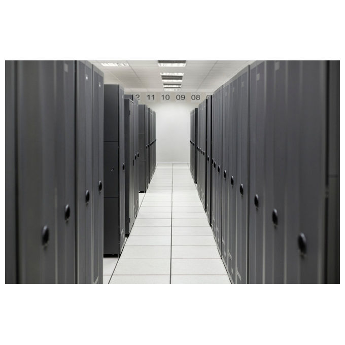 HPE Kit di abilitazione NS204i-u per Server ProLiant ML110 Gen11 - Componente server