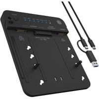 IB-2913MCL-C31 USB 3.2 Gen 2 (3.1 Gen 2) Type-C Nero, Docking station