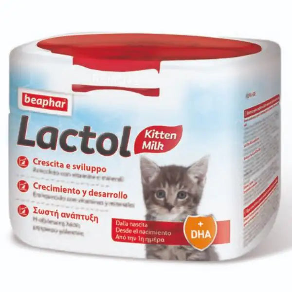 Lactol Latte Gattino Powder 200 G
