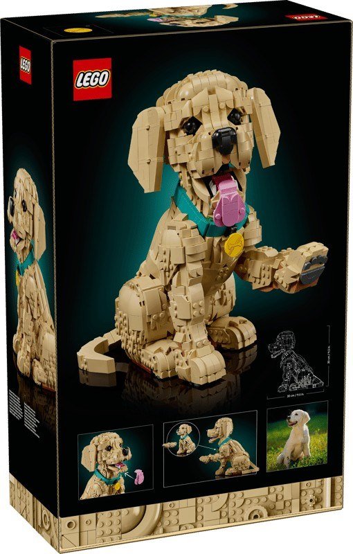 Lego - Icons Cucciolo Di Golden Retriever - 11384, Multicolore