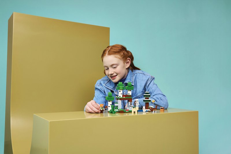Lego - Minecraft Avventura Della Prima Notte - 21593, Multicolore