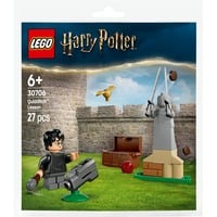 Lego - Recruitment Bags Lezione Di Quidditch 30706, ,