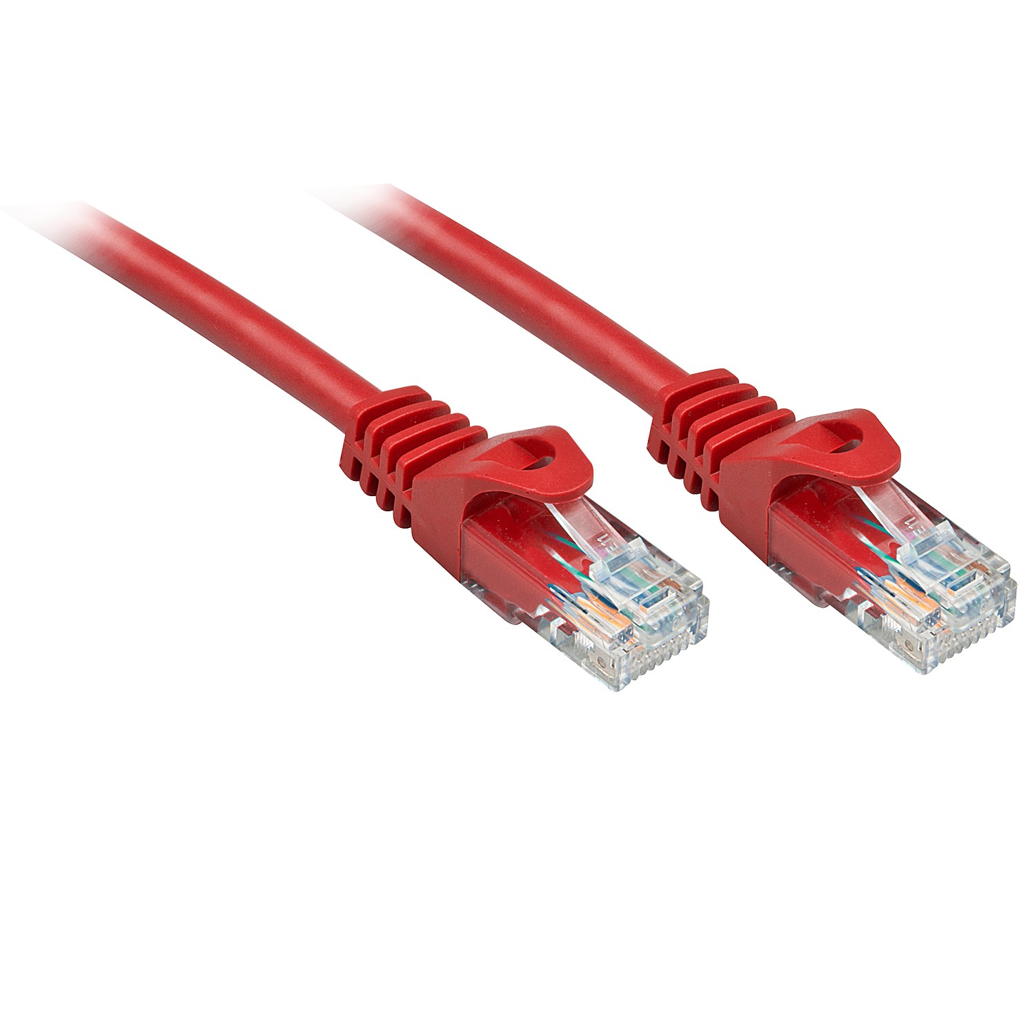 Lindy Cavo Cat.6 U/Utp Basic Rosso 2M Lindy Cavo Cat.6 U/Utp Basic Rosso 2M