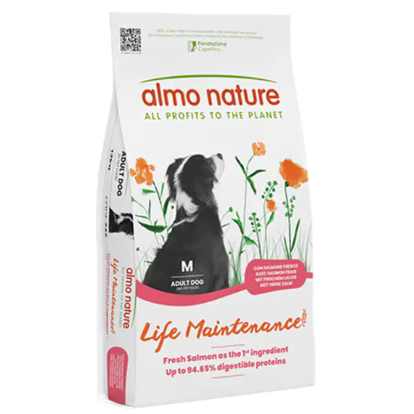Medium salmone/riso 12 kg