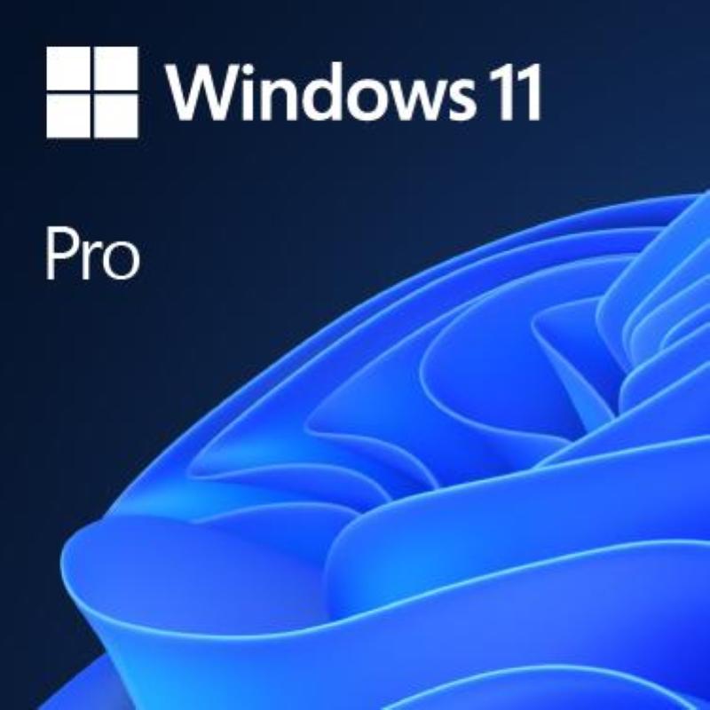 Microsoft windows pro fpp 11 64-bit italian usb Microsoft windows pro fpp 11 64-bit italian usb
