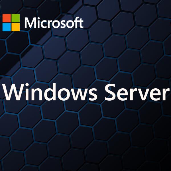 Microsoft Windows Server Cal 2025 Italian 1PK Dsp Oei 5 Clt Device EP2-25247