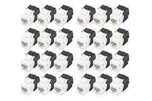 Modulo Cat 6 Keystone Non Schermato - 24 Pezzi Modulo Cat 6 Keystone Non Schermato - 24 Pezzi