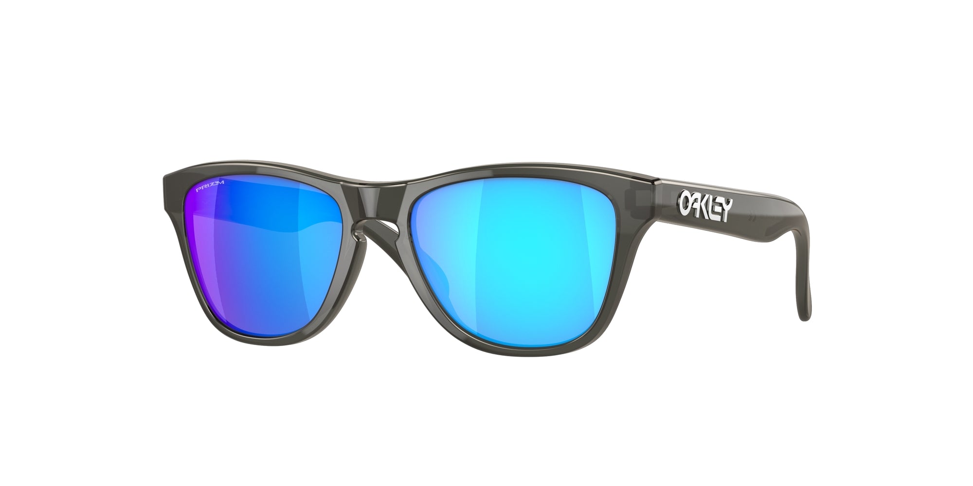 Oakley Bambino Oakley OJ9009 FROGSKINS XXS 900902 Occhiali da sole bambino O_Matter Grigio Blu Squadrata Normale Prizm