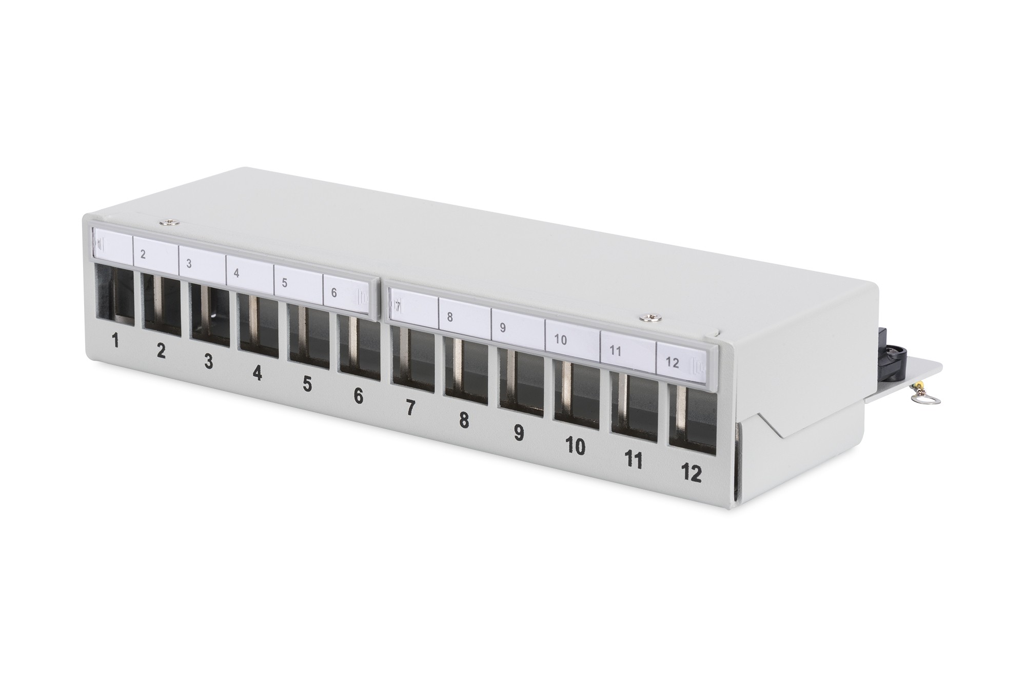 Patch Panel 12 Porte Da Tavolo Schermato Digitus Patch Panel 12 Porte Da Tavolo Schermato Digitus