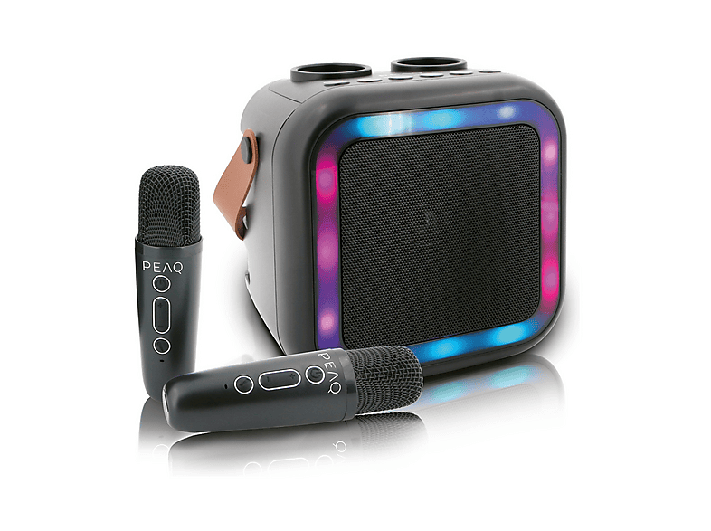 PEAQ Macchina karaoke PKM-100 + 2 microfoni