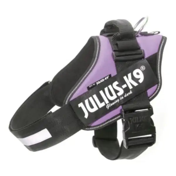 Pettorina per cani IDC Powerharness Julius-K9 Mini Viola - 1° ORDINE? scegli tra BZR5 - BZR20 + 200 pt fedeltà