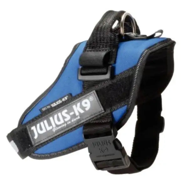 Pettorina per cani IDC Powerharness Julius-K9 Taglia 1 Blu - 1° ORDINE? scegli tra BZR5 - BZR20 + 200 pt fedeltà