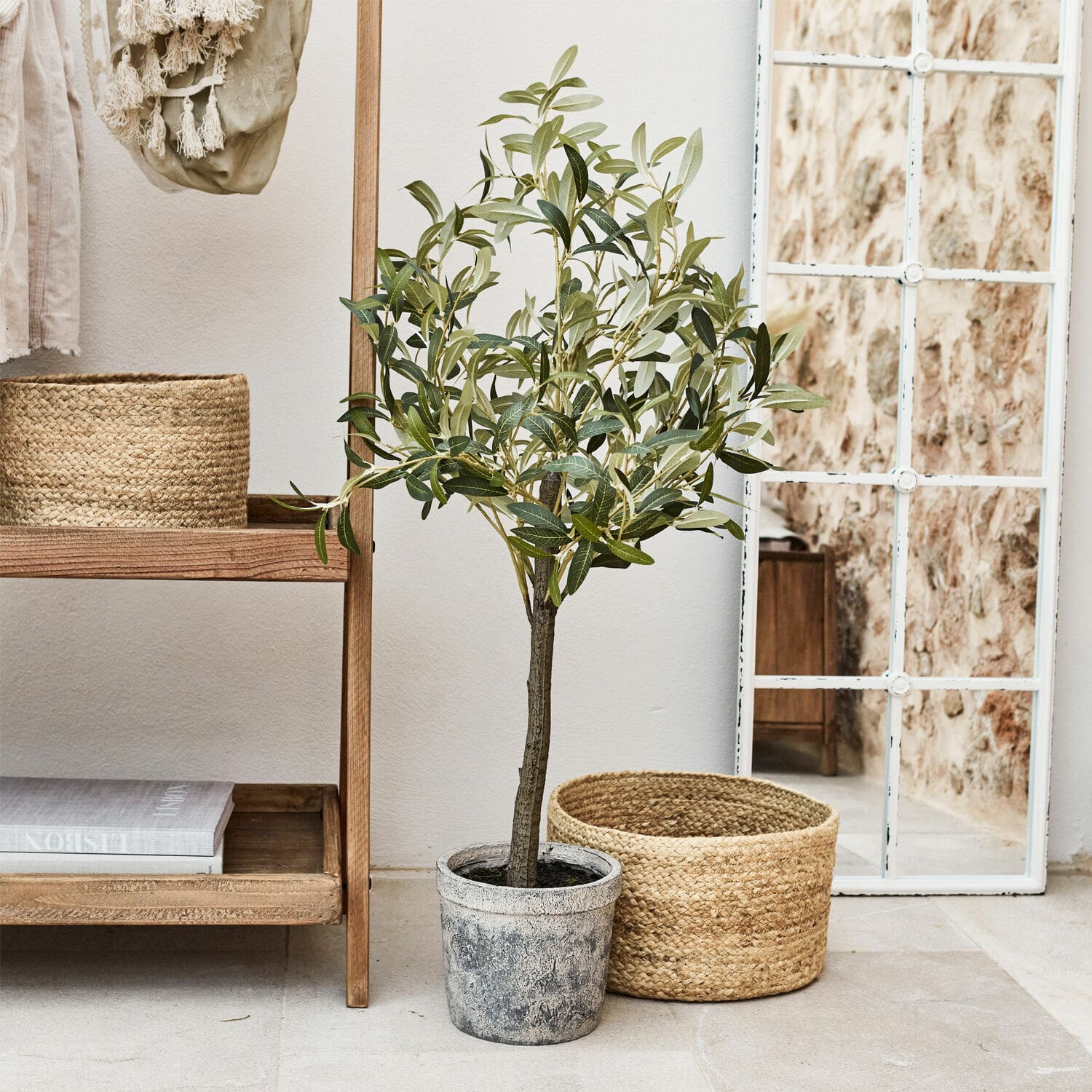 Pianta in vaso decorativa Mariuccia