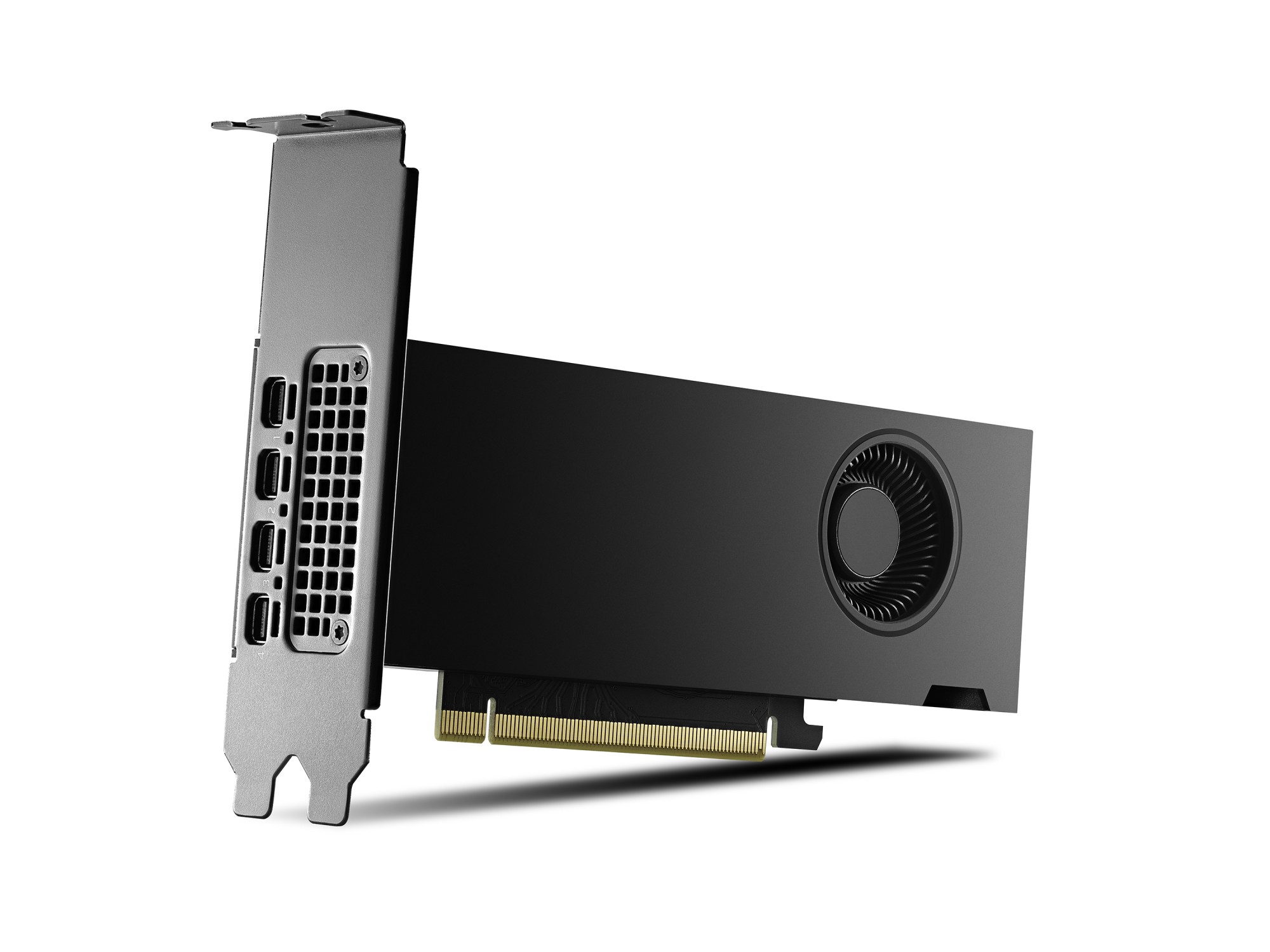 Pny Vga Quadro Rtx 2000 Ada 16Gb Gddr6 4Mdp Vers Oem