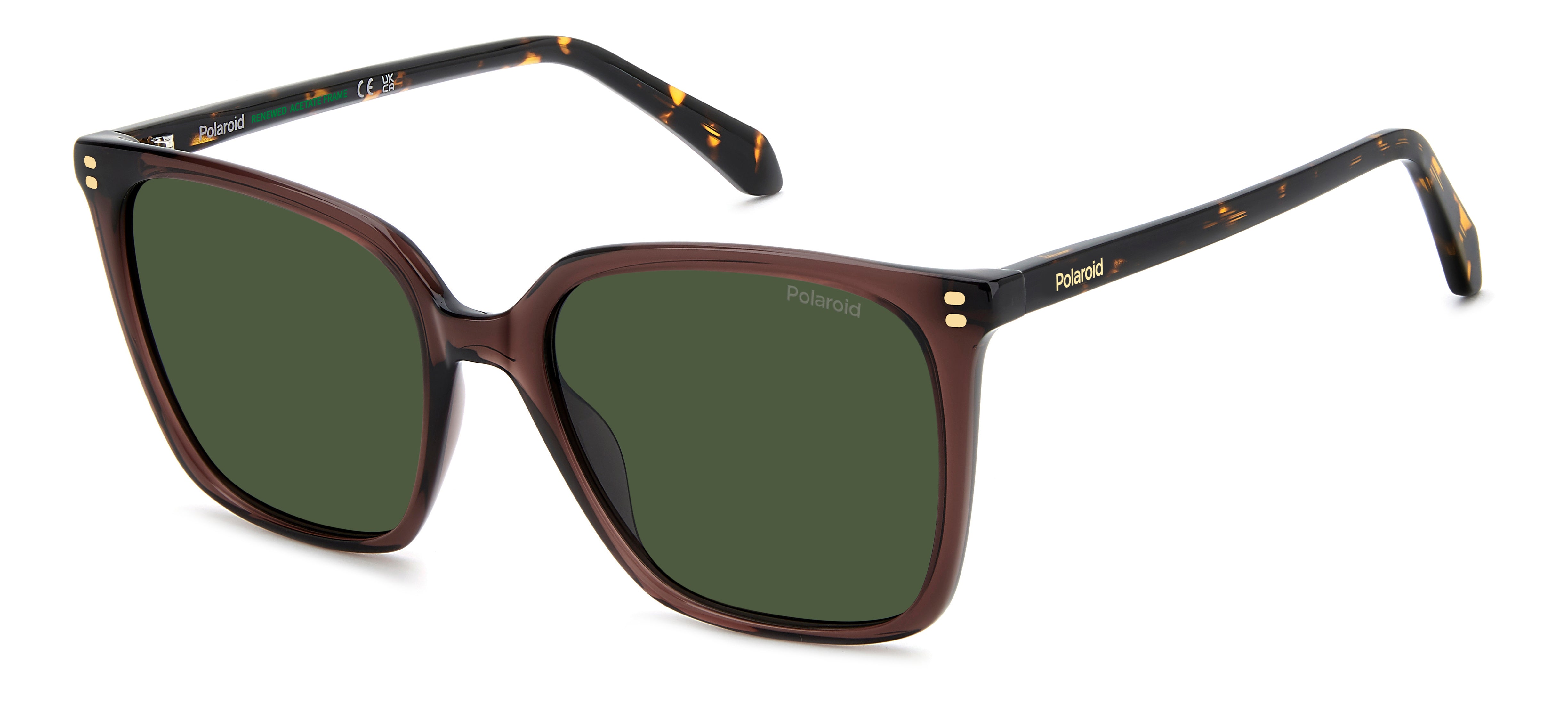 Polaroid Donna Polaroid PLD 4201/S/X 09Q/UC Occhiali da sole Acetato Marrone Verde Squadrata Polarizzata Polaroid Donna Polaroid PLD 4201/S/X 09Q/UC Occhiali da sole Acetato Marrone Verde Squadrata Polarizzata