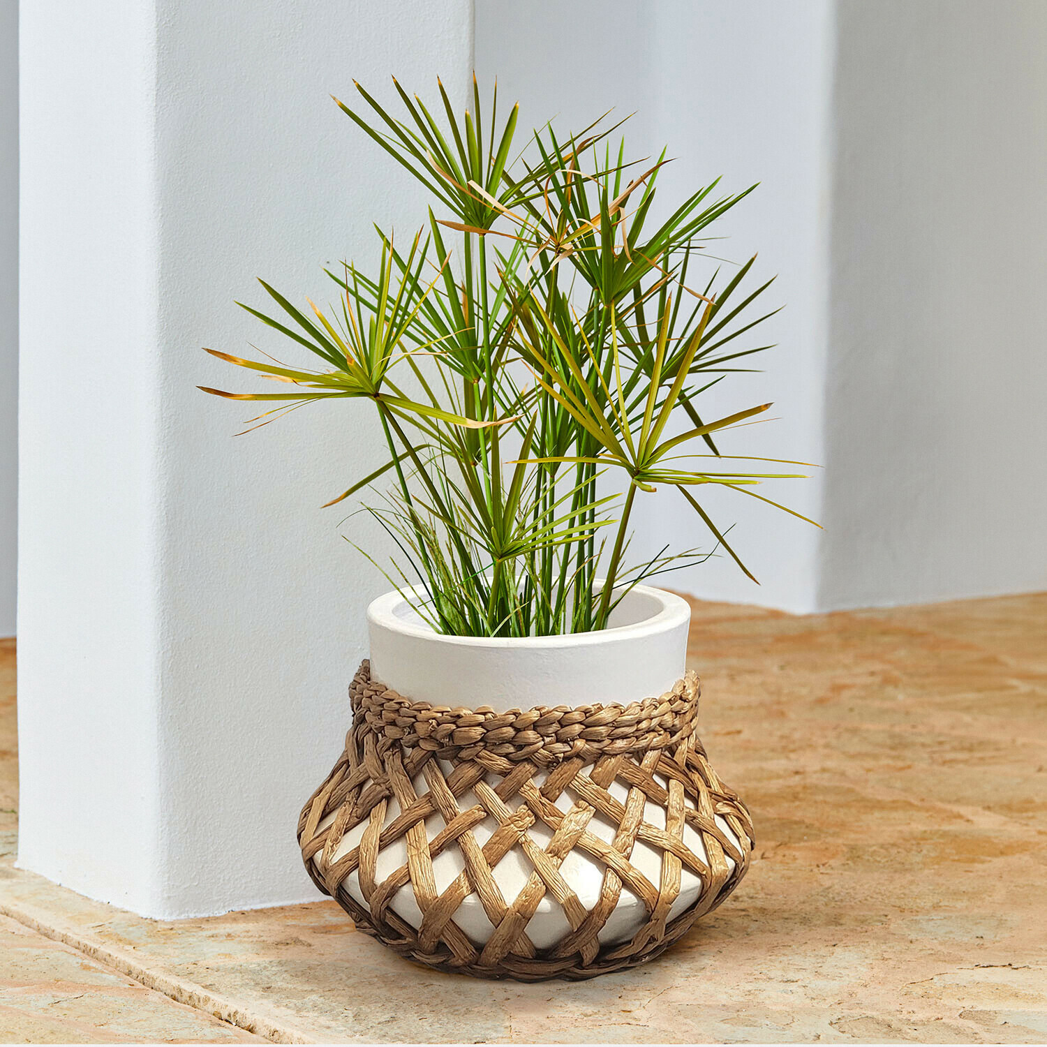 Portavaso Amariel