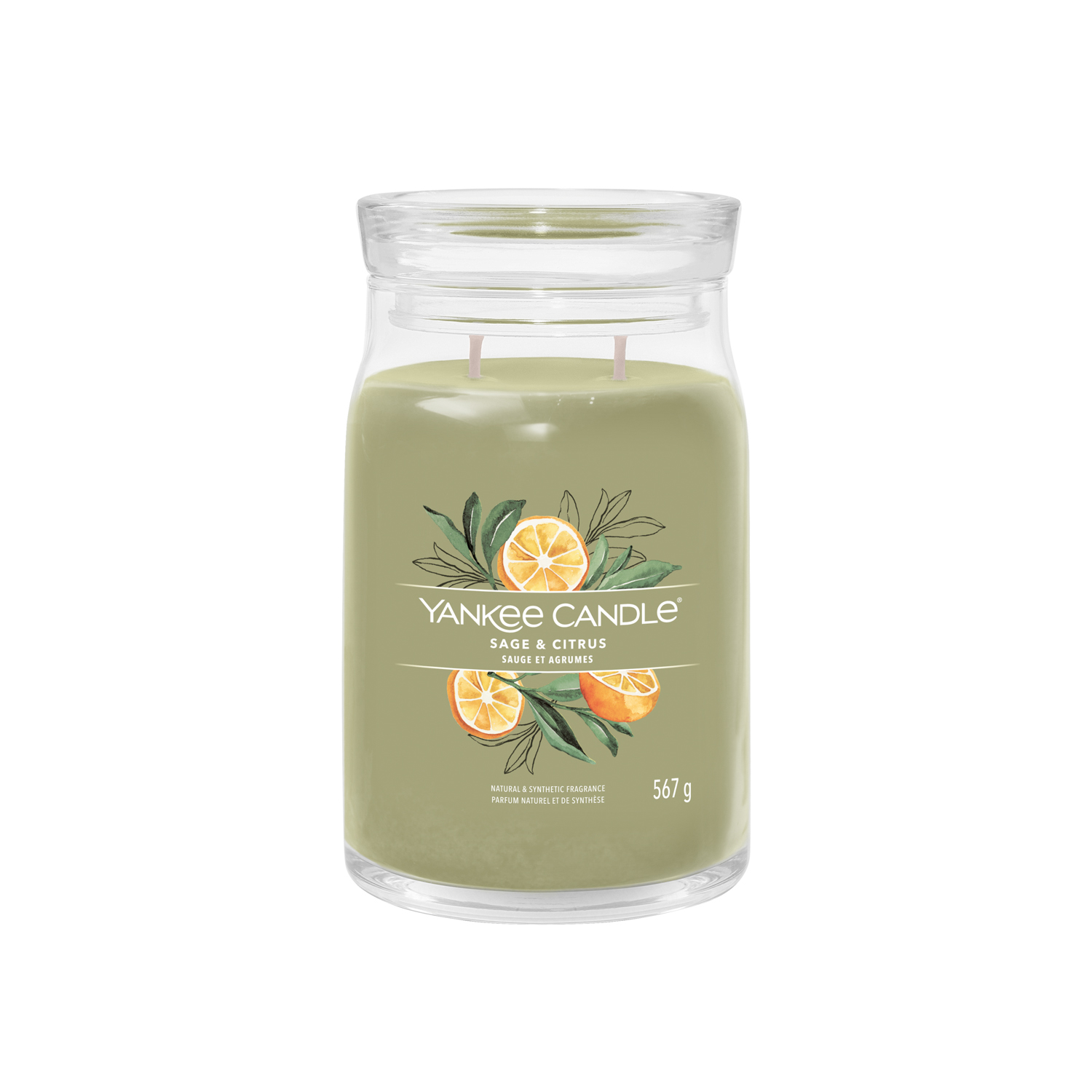 Sage e Citrus, candela giara grande Yankee Candle Sage e Citrus, candela giara grande Yankee Candle