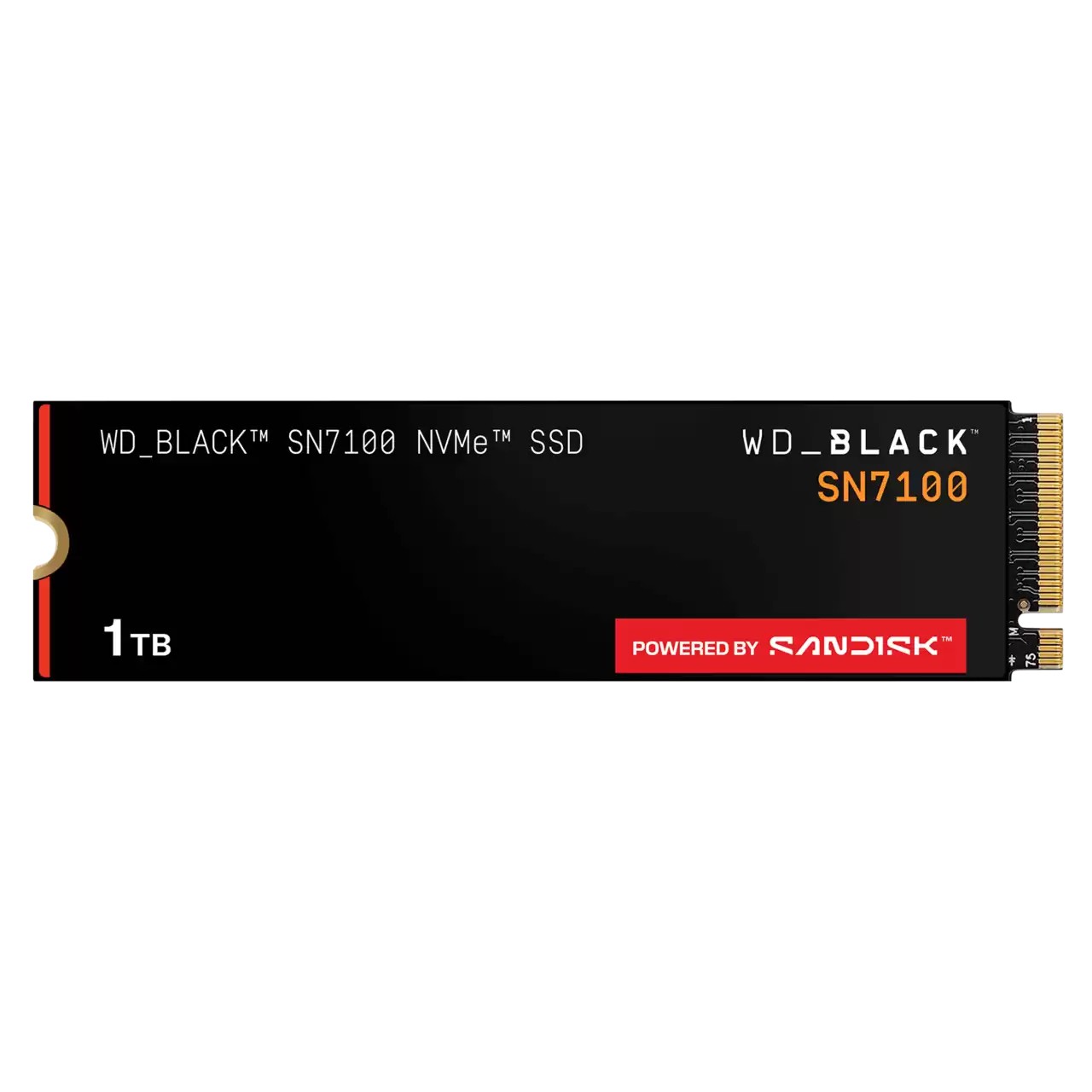 SanDisk WDS100T4X0E-00CJA0 drives allo stato solido 102 TB M.2 PCI Express 4.0 NVMe