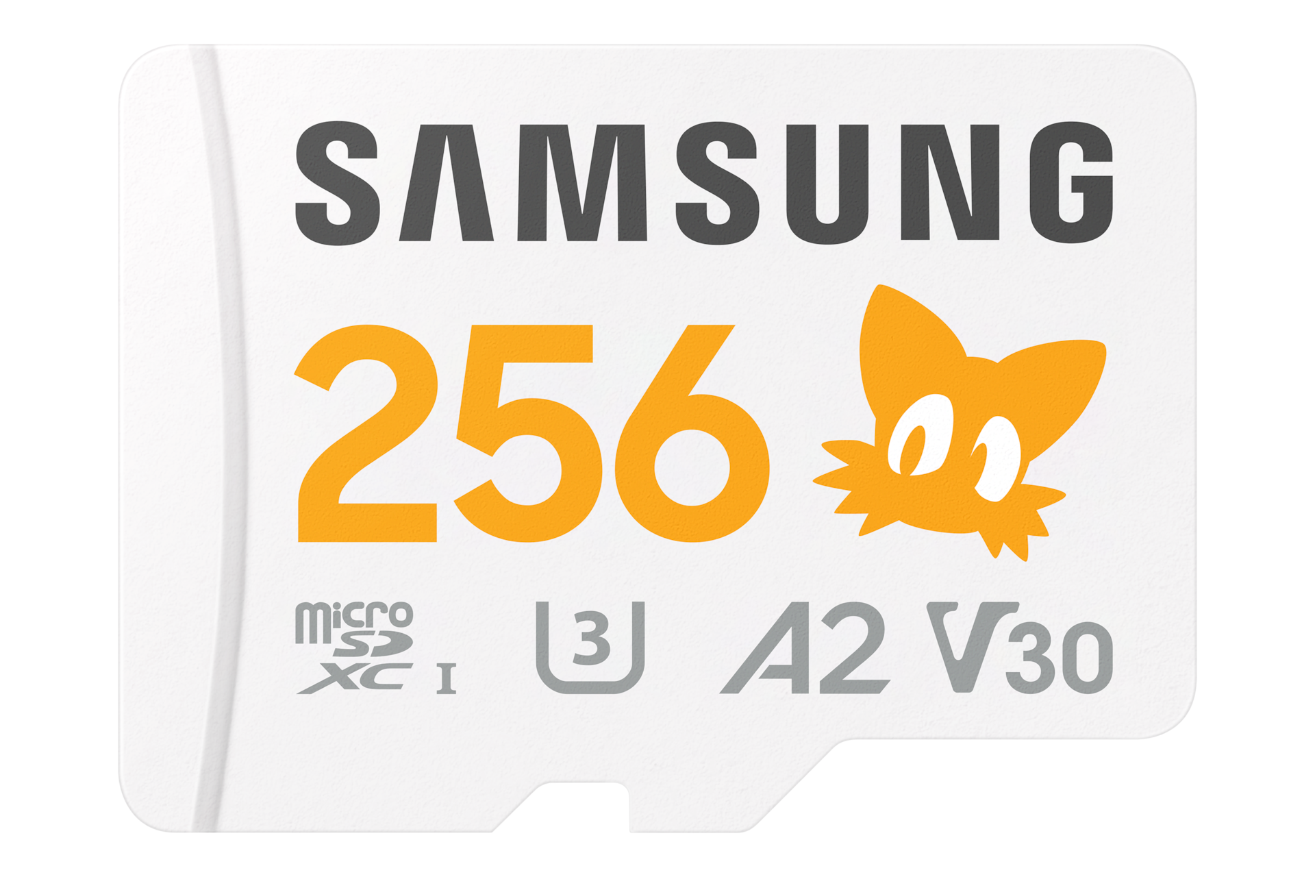 SCHEDA DI MEMORIA SAMSUNG MicroSD PRO Plus Sonic