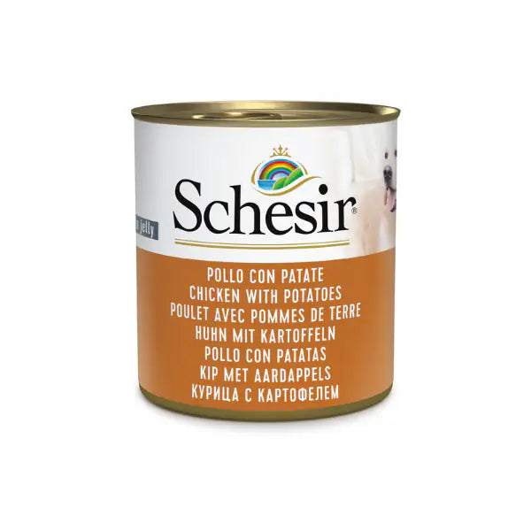 Schesir Dog 285 gr Pollo e patate - confezione da 6 pezzi - Cibo umido per cani - 1° ORDINE? scegli tra BZR5 - BZR20 + 200 pt fedeltà