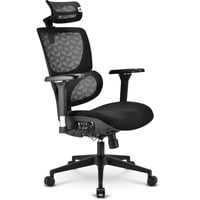 Sedia da ufficio OfficePal C40