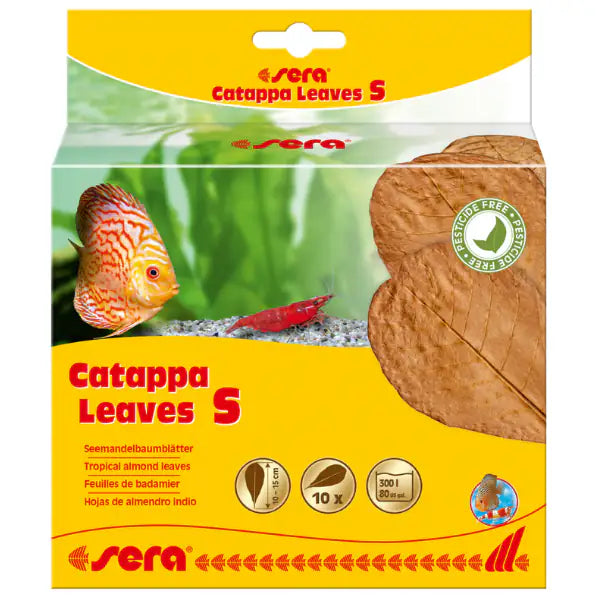 Sera Catappa Leaves foglie di mandorlo indiano per il trattamento acque Small 10 foglie 10-15 cm - 1° ORDINE? scegli tra BZR5 - BZR20 + 200 pt fedeltà