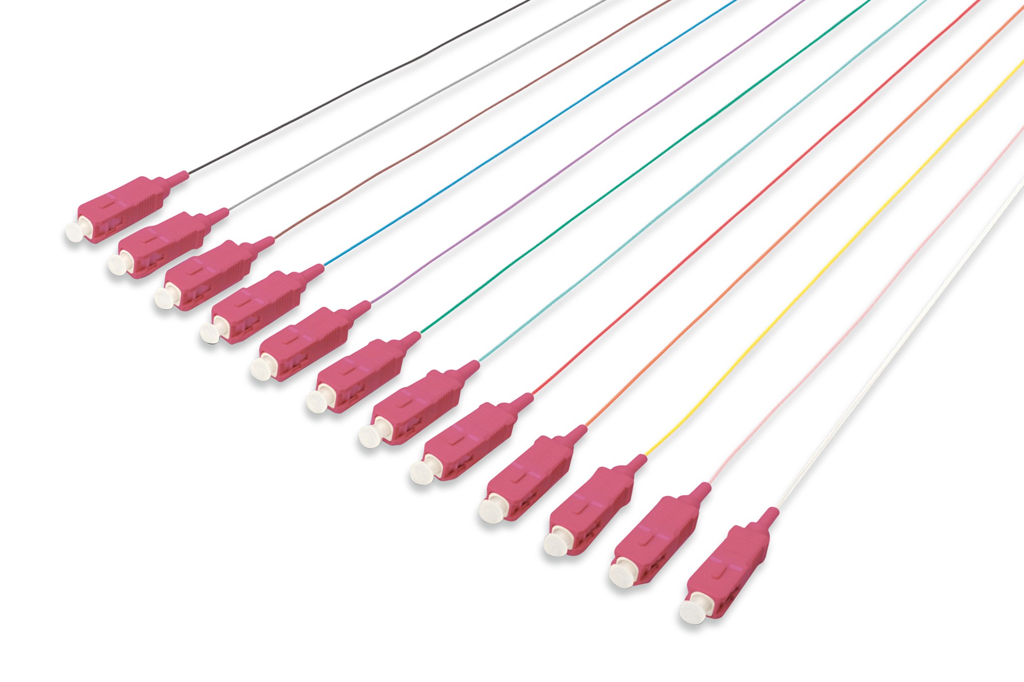 Set 12 Cavi Pigtail Fibra Ottica Colorati Connettori Sc Om4 50/125 Simplex