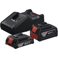 Set di avvio 18V (GBA 18V 4,0/2,0Ah + GAL 18V-40 Professional)