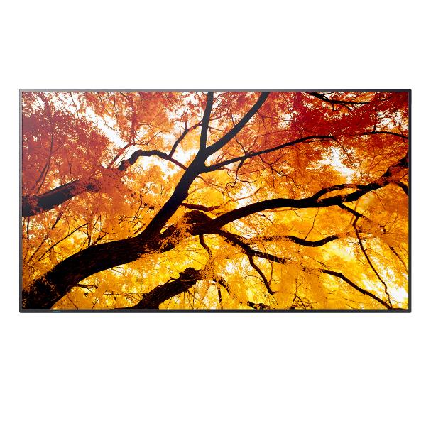 Sharp Display Solutions Model PN-M552 55 M-Series Large Format UHD 550CD/M2 D-Ledbacklight 24/7 Proof Sdm Slot Cm-Slot 60006055