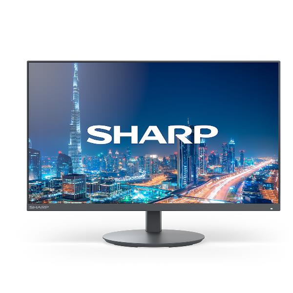 Sharp Multisync DD-E224F DDE224F