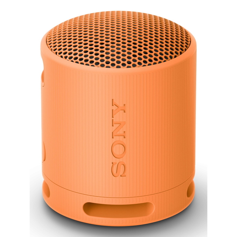 SPEAKER BLUETOOTH SONY SRSXB100D