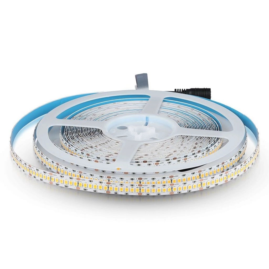 Strip LED Samsung 2835 240 LED 24V IP20 6400K CRI95+ 10mt""